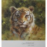 DAVID SHEPHERD (1931-2017). 'Tiger cub', signed in pencil, limited edition print - No 788/1000, gilt