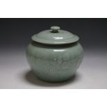 A CHINESE TYPE CELADON LIDDED JAR, featuring berries and foliage, H 16 cm