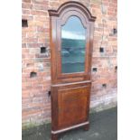 AN ANTIQUE WALNUT FLOORSTANDING CORNER CABINET, having a moulded arched top above a single glazed