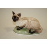 A FRANCESCA ART CHINA SEAL POINT CAT FIGURE BY N RILEY