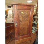 AN EDWARDIAN MAHOGANY POT CUPBOARD