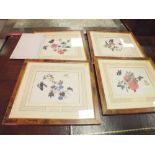 A SET OF FOUR COLOURED PRINTS FROM THE BRIAN REEVES COLLECTION OF CHINESE WATERCOLOURS - WITH