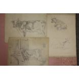 THREE UNFRAMED PENCIL SKETCHES OF COWS AND CATTLE, ONE SIGNED MURRAY THOMPSON