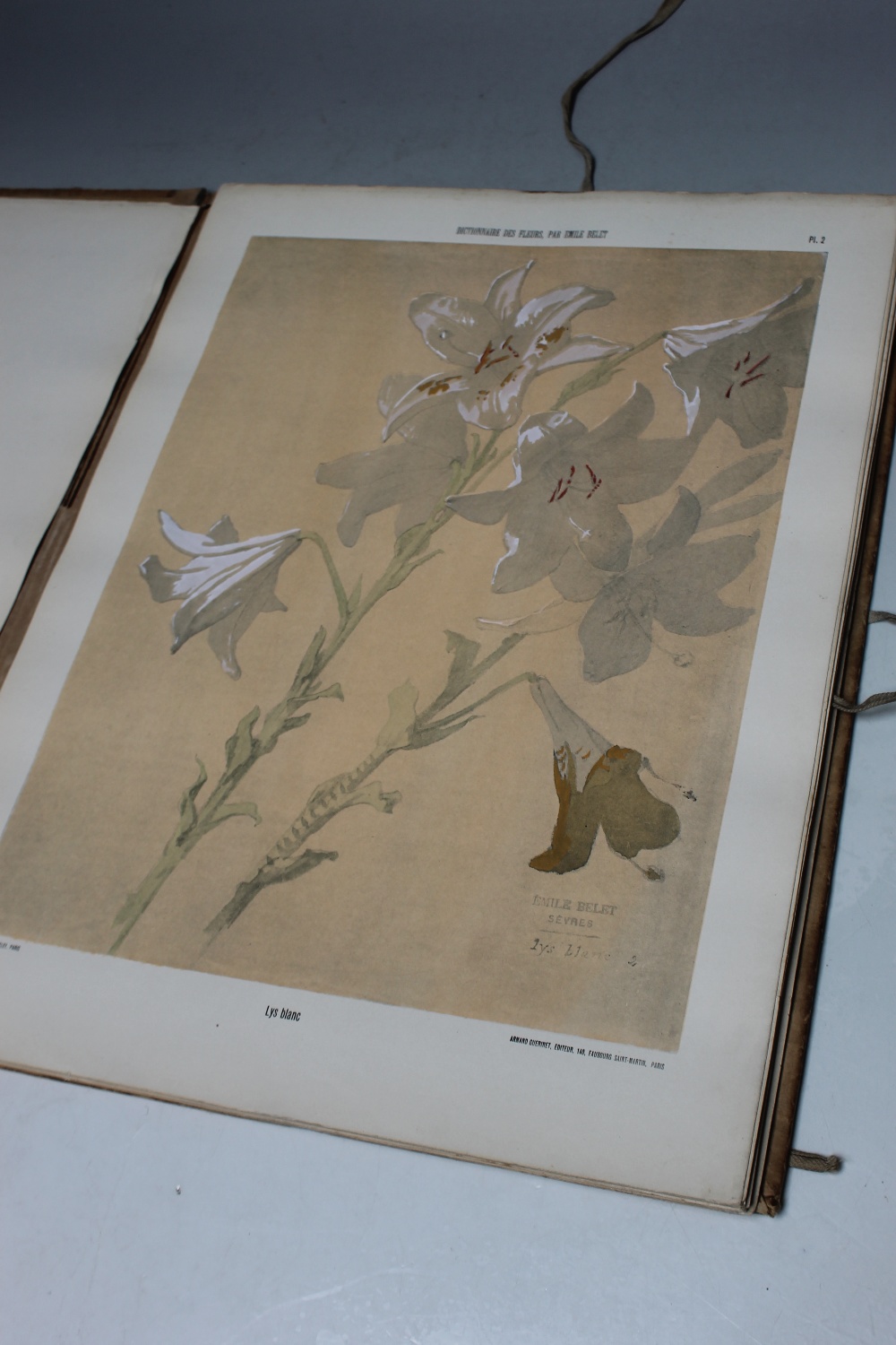TWO FOLDERS OF COLOURED PRINTS AFTER EMILE BELET AND PAUL DE LONGPRE, studies of flowers and - Image 9 of 9