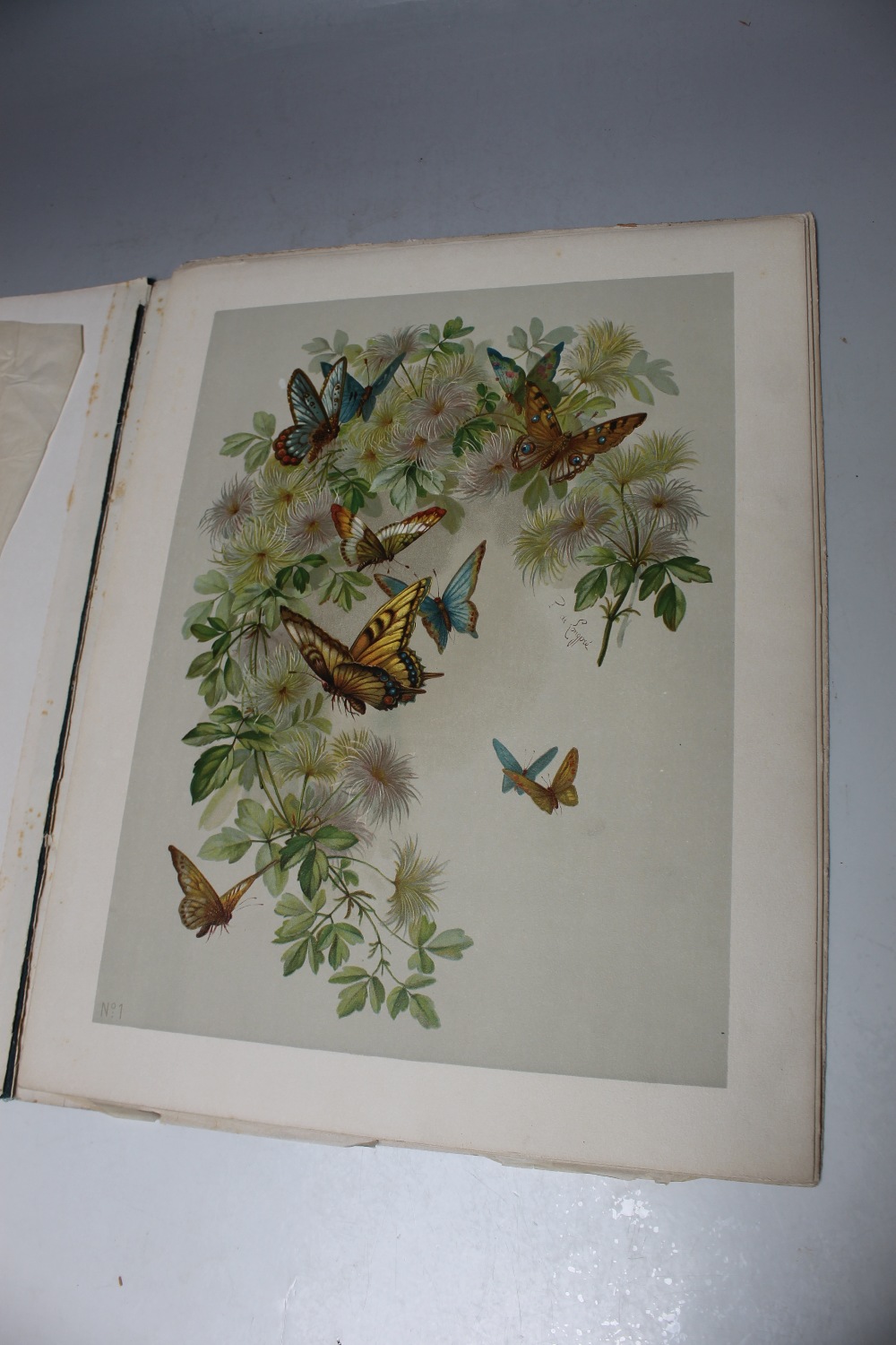 TWO FOLDERS OF COLOURED PRINTS AFTER EMILE BELET AND PAUL DE LONGPRE, studies of flowers and - Image 5 of 9