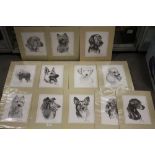 TWELVE UNFRAMED BLACK AND WHITE DOG PRINTS