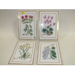 A SET OF FOUR ROYAL WORCESTER BOTANICAL STUDIES TILES