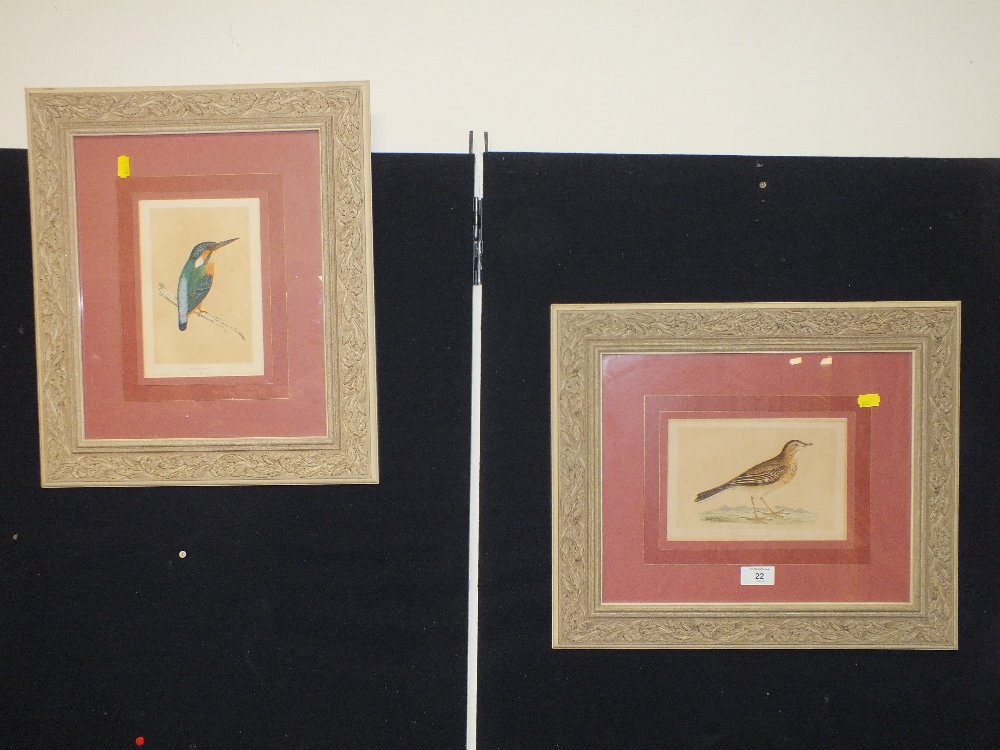A PAIR OF VINTAGE FRAMED AND GLAZED BIRD PRINTS
