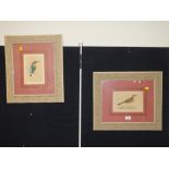 A PAIR OF VINTAGE FRAMED AND GLAZED BIRD PRINTS