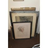 A SMALL QUANTITY OF FRAMED PRINTS to include engraving by F. Bartolozzi - 'Fitz Williams Earl of