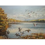 A FRAMED OIL ON BOARD DEPICTING DUCKS IN FLIGHT SIGNED J EDWARD SMITH