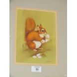 A FRAMED AND GLAZED WATERCOLOUR OF A RED SQUIRREL SIGNED JAVID THOMPSON