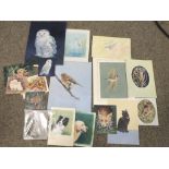 A COLLECTION OF WATERCOLOUR ANIMAL STUDIES BY JOAN FIELDEN TO INCLUDE BUTTERFLIES, DOGS ETC. (18)