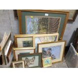 A COLLECTION OF PAINTINGS AND PASTEL STUDIES BY JOAN FEILDEN TO INCLUDE ANIMAL STUDIES