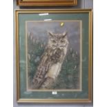 A FRAMED AND GLAZED PASTEL STUDY OF AN OWL BY JOAN FEILDEN