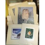 A LARGE QUANTITY OF UNFRAMED MOUNTED SIGNED LIMITED EDITION JOAN FEILDEN PRINTS ETC.