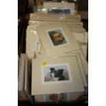 A LARGE QUANTITY OF UNFRAMED MOUNTED SIGNED LIMITED EDITION PRINTS BY JOAN FIELDEN