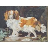 (XX). Study of a King Charles spaniel before a woodland scene, unsigned, oil on board, framed and