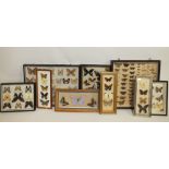 NINE VINTAGE GLAZED CASES OF MOUNTED BUTTERFLIES FROM AROUND THE WORLD, smallest 32 x 12 cm, largest