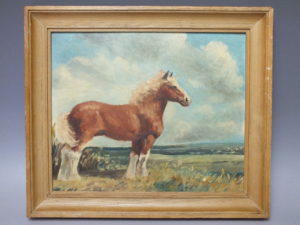 F. R. S??? (XX). Study of a shire horse in a landscape, signed lower left, oil on board, framed, - Image 2 of 3