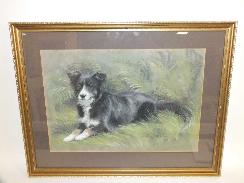 JOAN FIELDEN (XX). British school, study of a Border Collie resting in the undergrowth, see label - Image 2 of 3