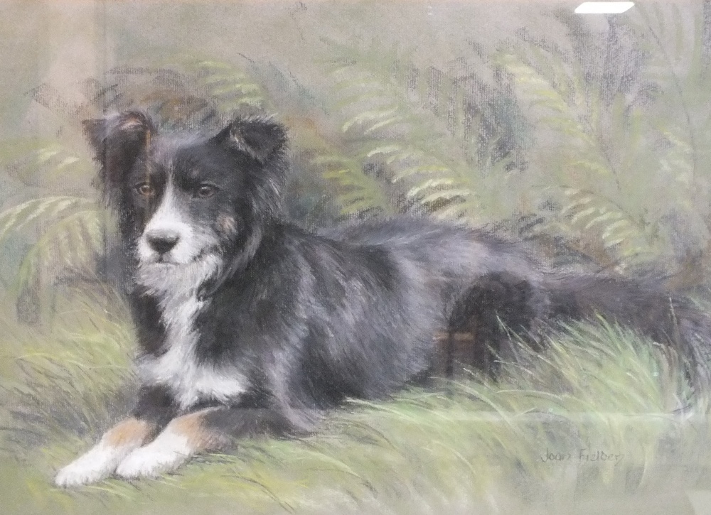 JOAN FIELDEN (XX). British school, study of a Border Collie resting in the undergrowth, see label