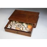 A MAHOGANY DRAW BOX CONTAINING SEASHELLS, W 39 cm