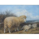 AFTER THOMAS SIDNEY COOPER (1803-1902). Extensive moorland scene with sheep, unsigned,