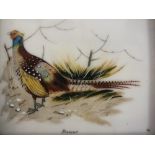 J. M. (XX). Miniature study of a pheasant, signed with initials lower right, mixed media on ivorine,
