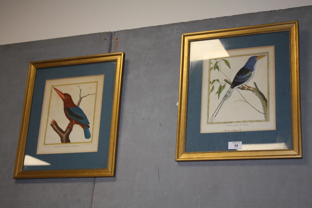 TWO VINTAGE FRAMED AND GLAZED HAND COLOURED FRENCH PRINTS OF BIRDS