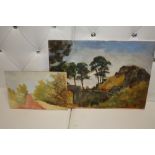 TWO UNFRAMED IMPRESSIONIST OIL ON BOARDS DEPICTING COUNTRY SCENES