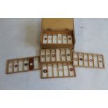 A 19TH CENTURY WOODEN CASE OF SCIENTIFIC MICROSCOPE GLASS SLIDES, various types - botanic, insects