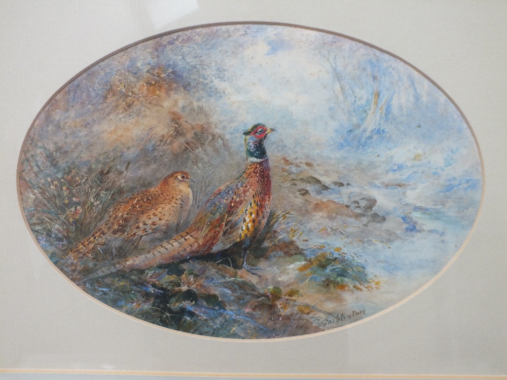 JAMES STINTON (1870-1961). An oval woodland scene with male and female pheasant by a rocky stream,