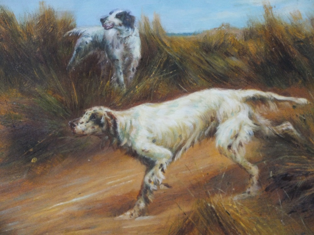 BRITISH SCHOOL (XX). Study of two English setters in tall grassland, unsigned, oil on board,