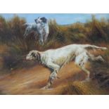 BRITISH SCHOOL (XX). Study of two English setters in tall grassland, unsigned, oil on board,