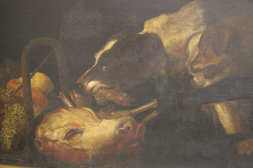 (XIX). Irish school, study of two dogs resting on a calves head and foot by a basket of fruit,