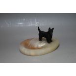 A COLD PAINTED WEST HIGHLAND TERRIER ON AN ONYX DISH, W 13.25 cm