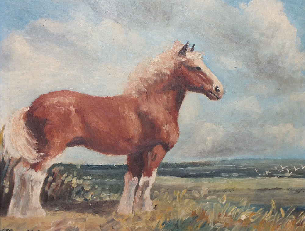 F. R. S??? (XX). Study of a shire horse in a landscape, signed lower left, oil on board, framed,