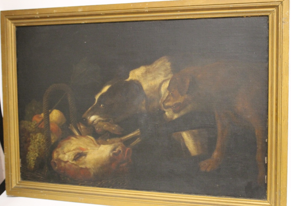 (XIX). Irish school, study of two dogs resting on a calves head and foot by a basket of fruit, - Image 4 of 4