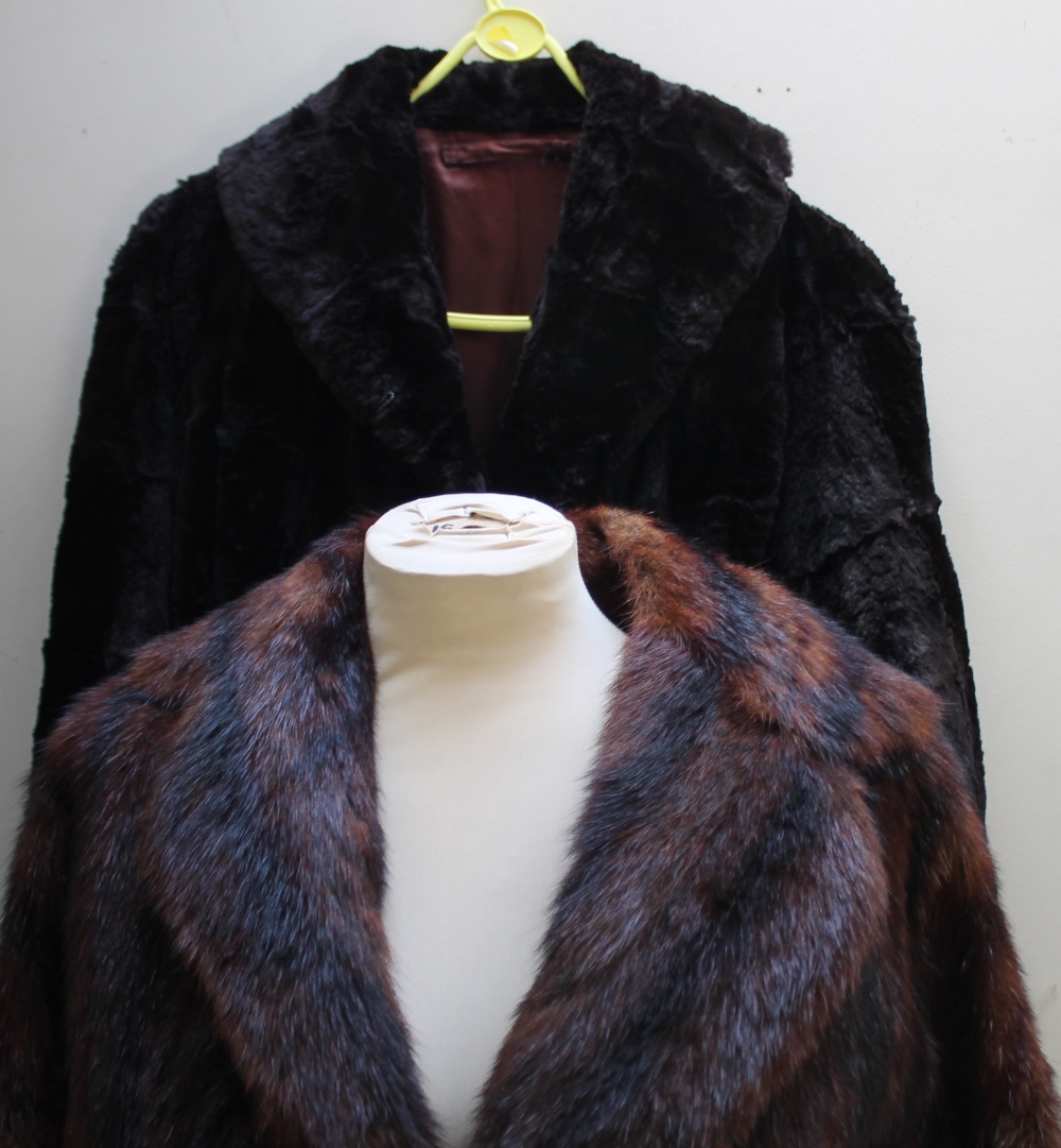 TWO LADIES VINTAGE REAL FUR COATS, comprising a short musquash striped brown jacket and a black - Image 3 of 4