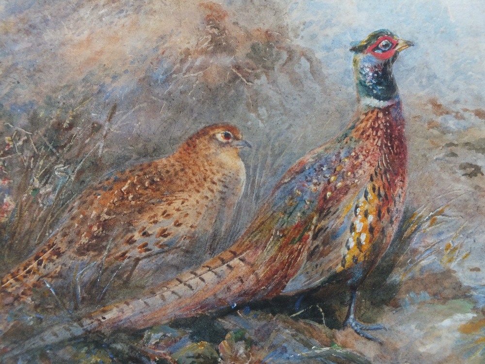 JAMES STINTON (1870-1961). An oval woodland scene with male and female pheasant by a rocky stream, - Image 3 of 4