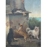 (XIX). Study of three dogs trying to reach a cat perched on an outside farm building shelf,