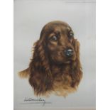 LEON DANCHIN (1887-1939). French school, study of a spaniel, signed in plate, lower left, coloured