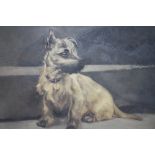 CHRISTINE McGREGOR (XX). Study of a terrier on a step, signed lower right, oil on canvas, framed, 39
