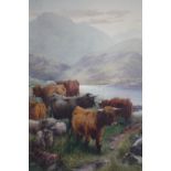 TOM ROWDEN (1842-1926). Cattle in Highland landscape 'Loch Shiel, Glenfinnan, Inverness', see verso,