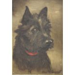 CHRIS McGREGOR (XIX-XX). Scottish school, portrait study of a black Scottie dog, signed lower right,