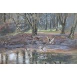 (XX). Woodland pool scene with ducks, indistinctly signed lower left, watercolour, framed and