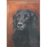 SIDNEY LANGDON (XIX-XX). Study of a black dog, signed lower right, oil on canvas board, framed and