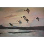 WILFRED BAILEY (XX). British study of ducks coming in to land on a moorland river, signed lower