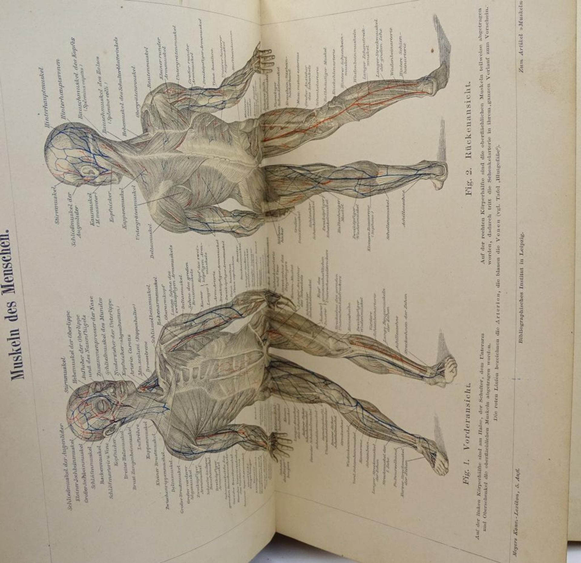 Musterbuch zu Meyers Konversationslexikon,sehr selten,Fünfte Auflage,vollständiger Einzelband,mit - Bild 3 aus 9